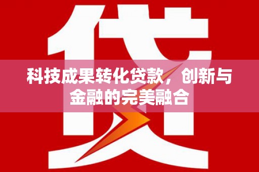 保税区科技成果转化贷款，创新与金融的完美融合