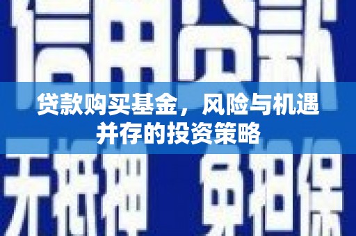 保税区贷款购买基金，风险与机遇并存的投资策略