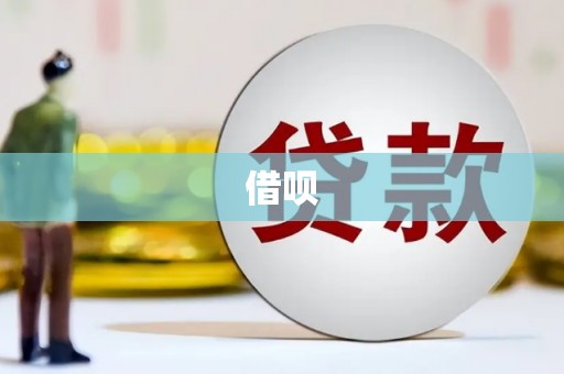 保税区借呗