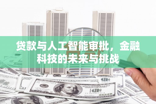 保税区贷款与人工智能审批，金融科技的未来与挑战