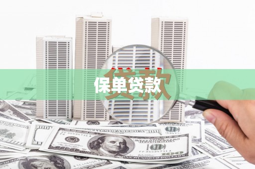 保税区保单贷款