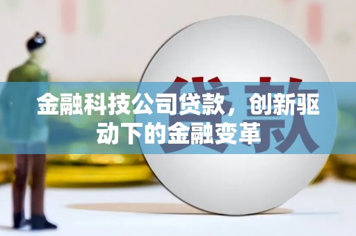 保税区金融科技公司贷款，创新驱动下的金融变革