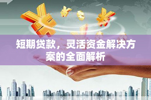 保税区短期贷款，灵活资金解决方案的全面解析
