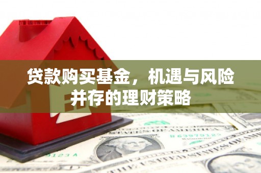 保税区贷款购买基金，机遇与风险并存的理财策略