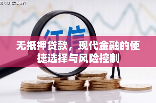 保税区无抵押贷款，现代金融的便捷选择与风险控制