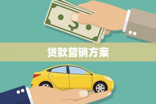 保税区贷款营销方案