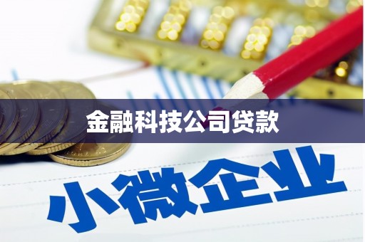 保税区金融科技公司贷款