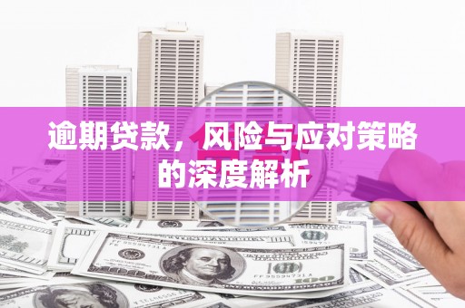 保税区逾期贷款，风险与应对策略的深度解析