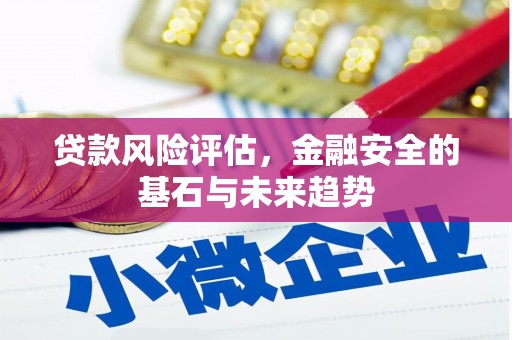 保税区贷款风险评估，金融安全的基石与未来趋势