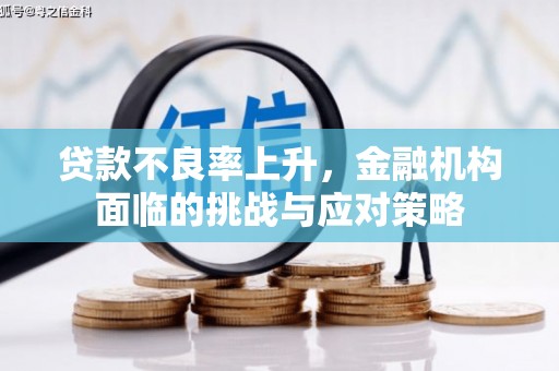 保税区贷款不良率上升，金融机构面临的挑战与应对策略