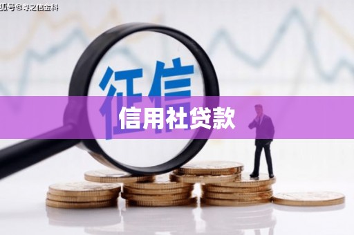 保税区信用社贷款