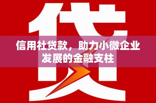 保税区信用社贷款，助力小微企业发展的金融支柱