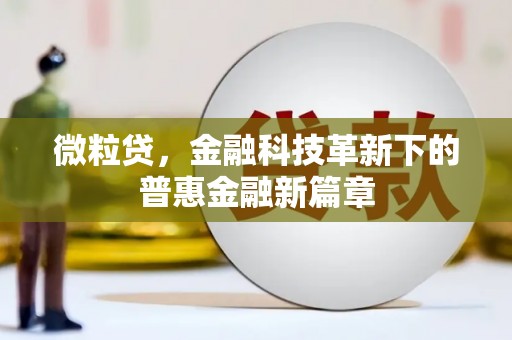保税区微粒贷，金融科技革新下的普惠金融新篇章