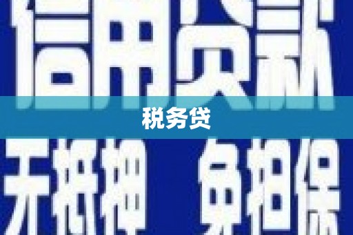 保税区税务贷