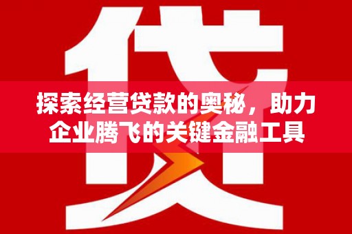 保税区探索经营贷款的奥秘，助力企业腾飞的关键金融工具