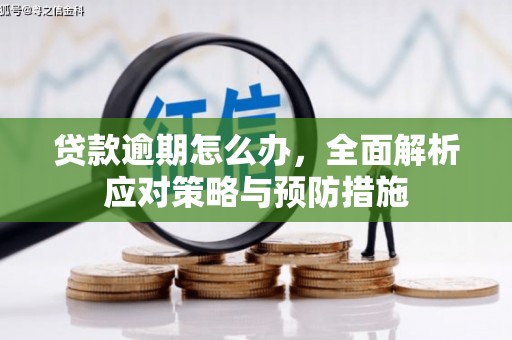 保税区贷款逾期怎么办，全面解析应对策略与预防措施