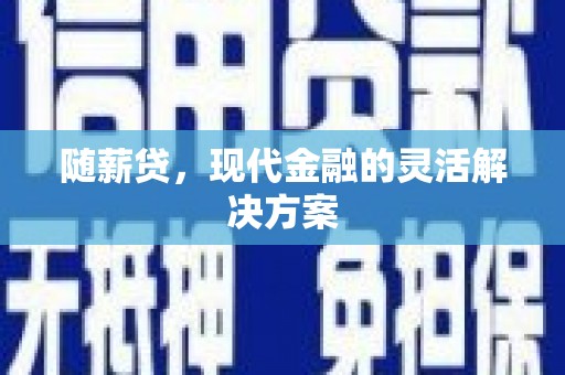 保税区随薪贷，现代金融的灵活解决方案