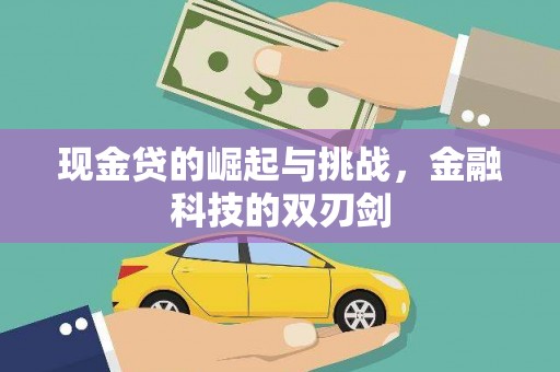 保税区现金贷的崛起与挑战，金融科技的双刃剑