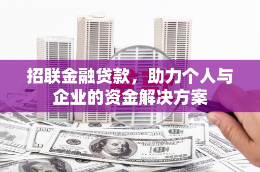 保税区招联金融贷款，助力个人与企业的资金解决方案