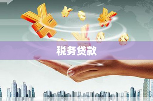 保税区税务贷款