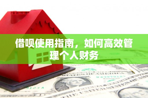 保税区借呗使用指南，如何高效管理个人财务