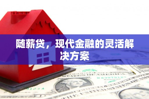 保税区随薪贷，现代金融的灵活解决方案