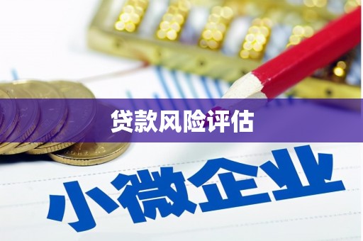 保税区贷款风险评估