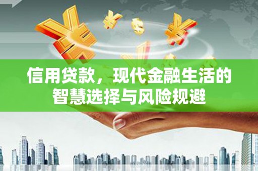 保税区信用贷款，现代金融生活的智慧选择与风险规避
