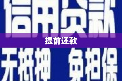 保税区提前还款