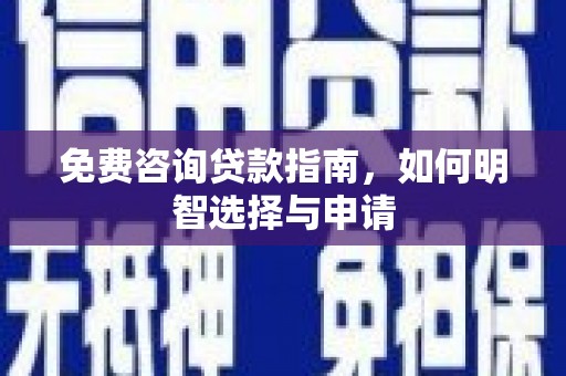 保税区免费咨询贷款指南，如何明智选择与申请