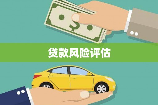 保税区贷款风险评估