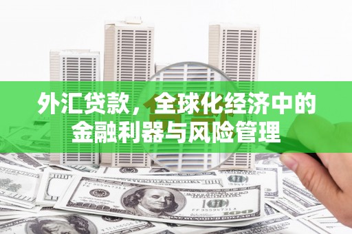 保税区外汇贷款，全球化经济中的金融利器与风险管理