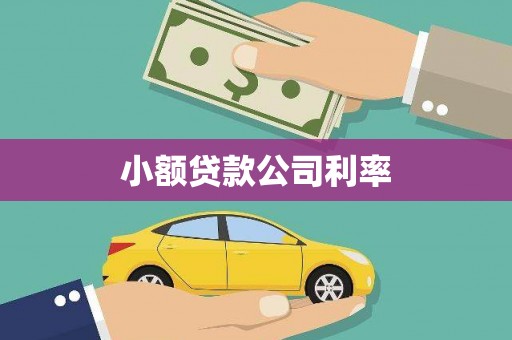 保税区小额贷款公司利率