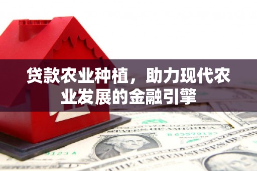 保税区贷款农业种植，助力现代农业发展的金融引擎