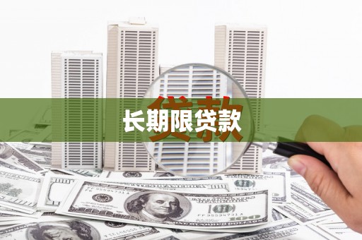 保税区长期限贷款