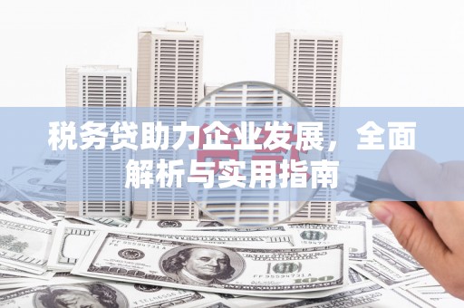 保税区税务贷助力企业发展，全面解析与实用指南