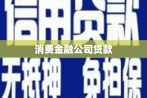 保税区消费金融公司贷款