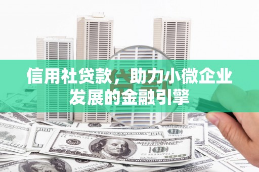 保税区信用社贷款，助力小微企业发展的金融引擎