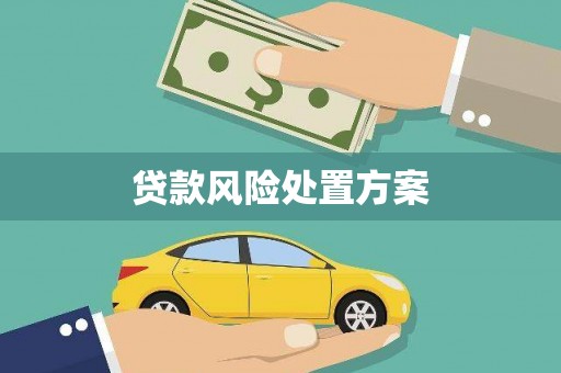 保税区贷款风险处置方案