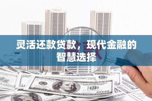 保税区灵活还款贷款，现代金融的智慧选择