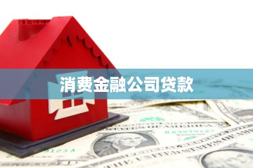 保税区消费金融公司贷款