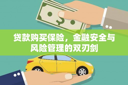 保税区贷款购买保险，金融安全与风险管理的双刃剑