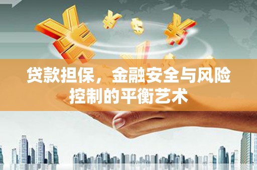 保税区贷款担保，金融安全与风险控制的平衡艺术