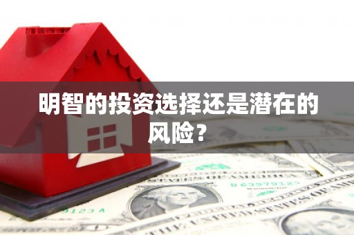保税区明智的投资选择还是潜在的风险？
