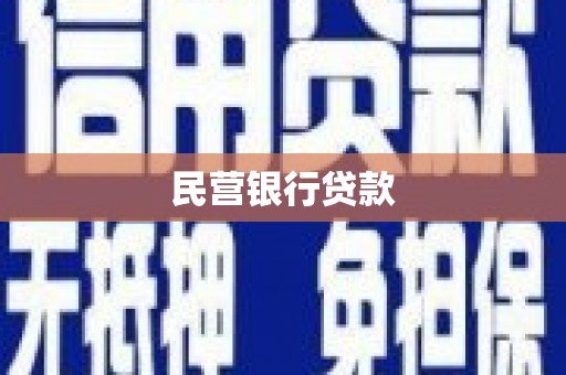 保税区民营银行贷款