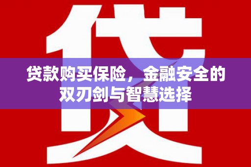 保税区贷款购买保险，金融安全的双刃剑与智慧选择