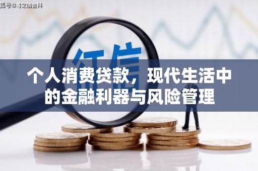 保税区个人消费贷款，现代生活中的金融利器与风险管理