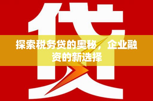 保税区探索税务贷的奥秘，企业融资的新选择