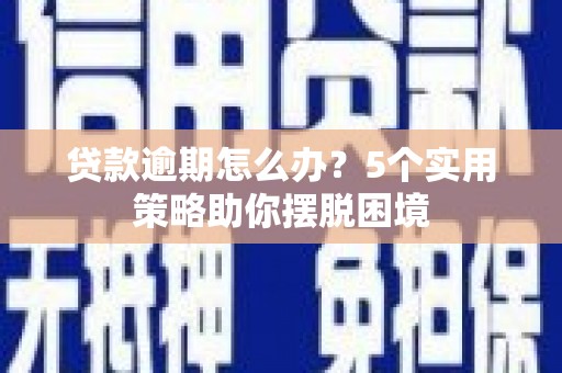 保税区贷款逾期怎么办？5个实用策略助你摆脱困境