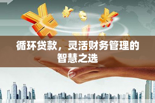 保税区循环贷款，灵活财务管理的智慧之选